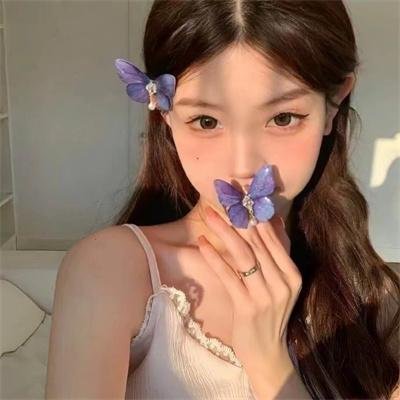 海盗岛：甲板上的家族