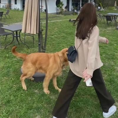 女人永远是对的粤语